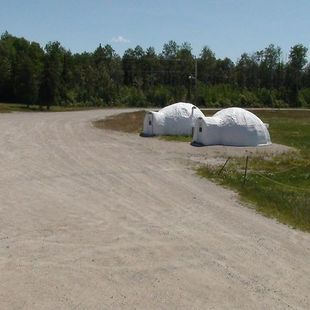North Adventure Inn Cochrane Eksteriør bilde
