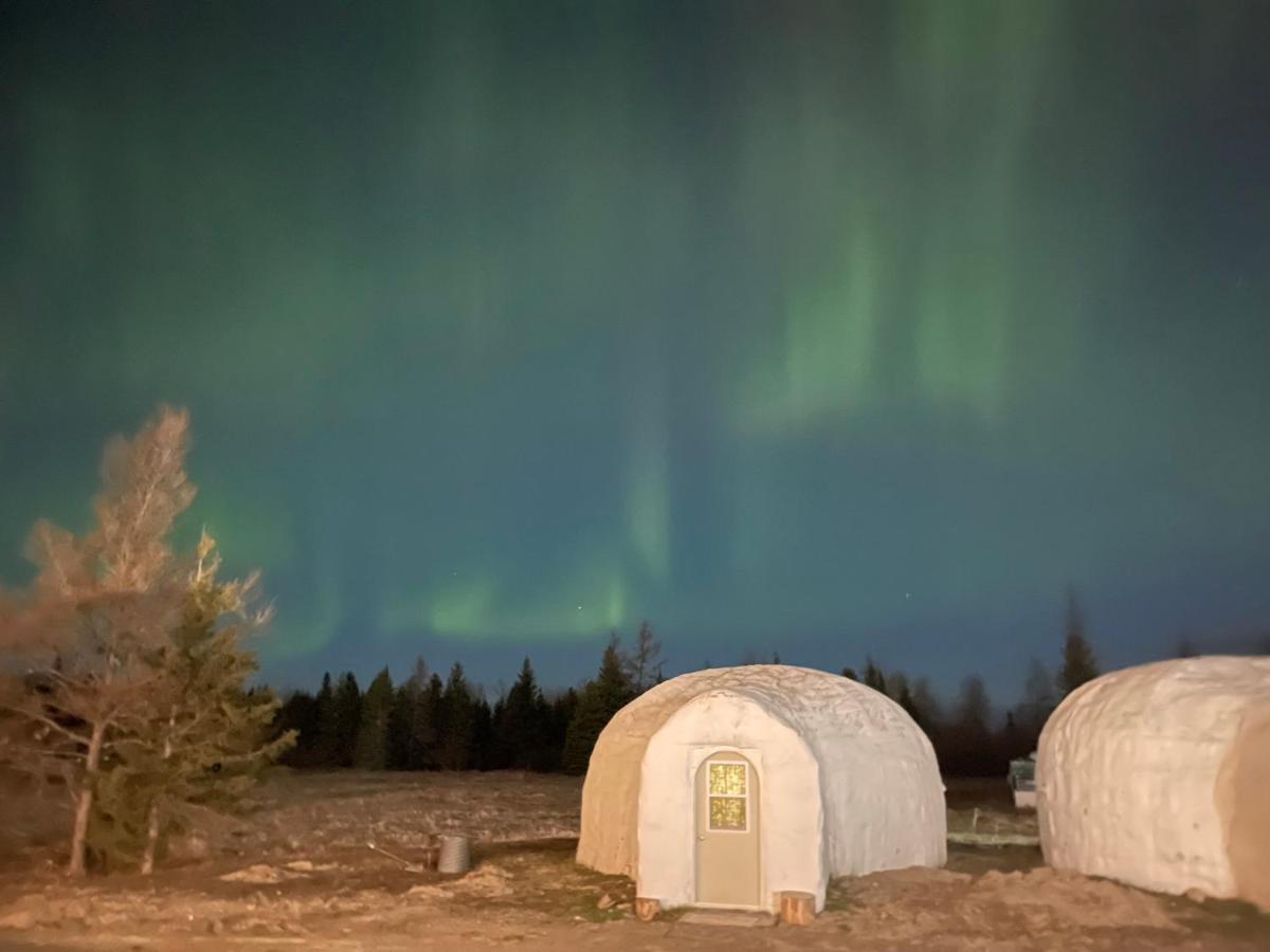 North Adventure Inn Cochrane Eksteriør bilde