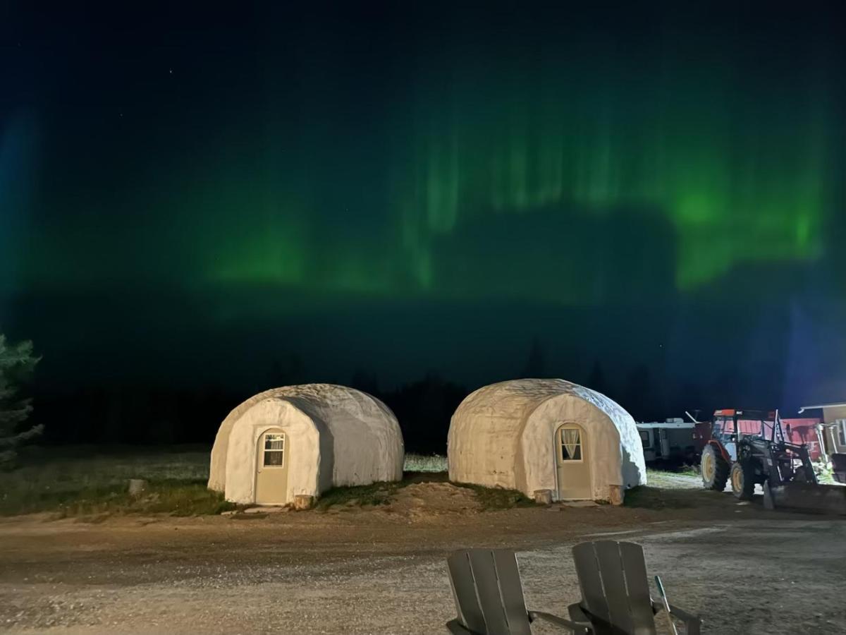 North Adventure Inn Cochrane Eksteriør bilde