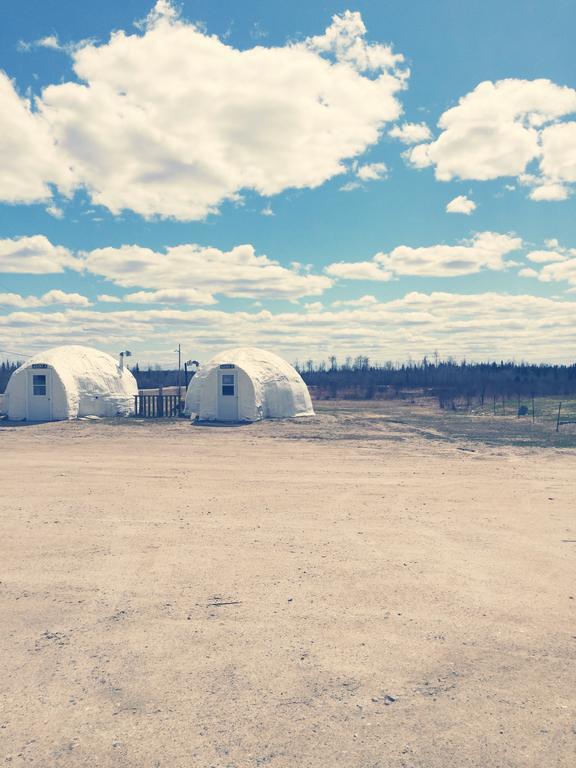 North Adventure Inn Cochrane Rom bilde